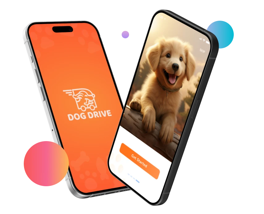 Dog Drive mobile app for discovering dog-friendly rides and places across Egypt